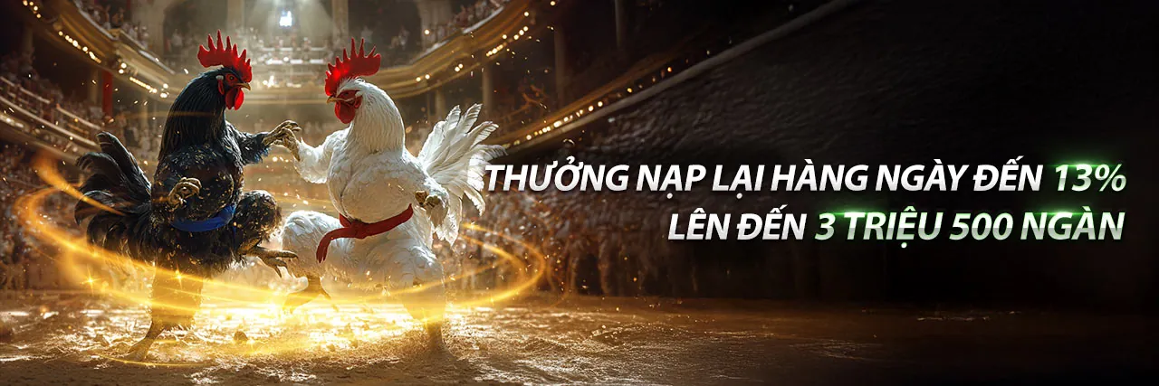 Banner khuyến mãi đá gà vk88 login